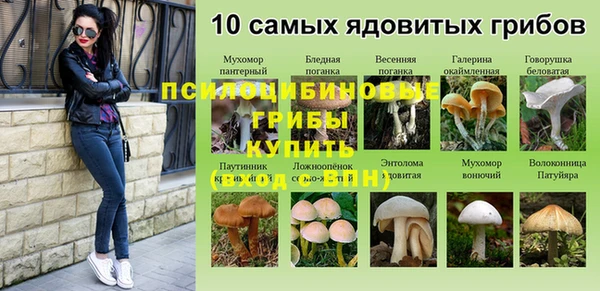 ГАЛЛЮЦИНОГЕННЫЕ ГРИБЫ Нефтегорск