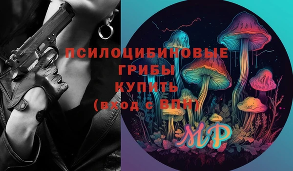 ГАЛЛЮЦИНОГЕННЫЕ ГРИБЫ Нефтегорск