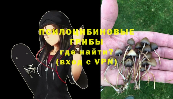 СК Нефтекумск