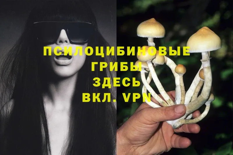 Галлюциногенные грибы Psilocybine cubensis  площадка клад  Ликино-Дулёво  как найти   ссылка на мегу как войти 