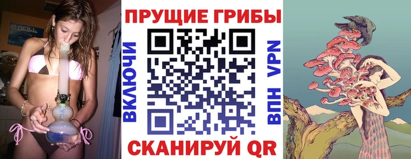 OMG ссылки  Ликино-Дулёво  мориарти телеграм  Галлюциногенные грибы прущие грибы 